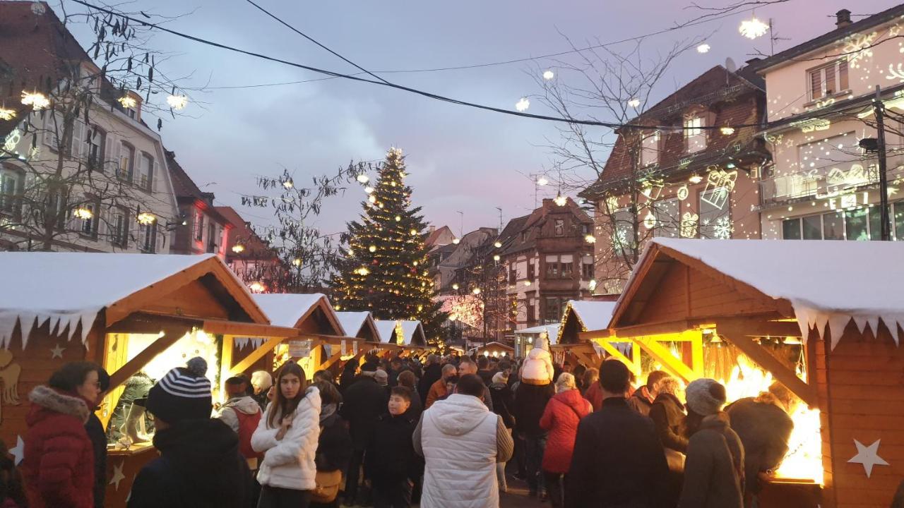 Le Wineck Villa Dambach Kültér fotó