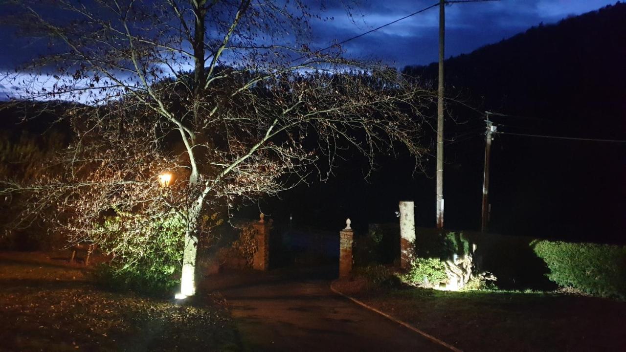 Le Wineck Villa Dambach Kültér fotó