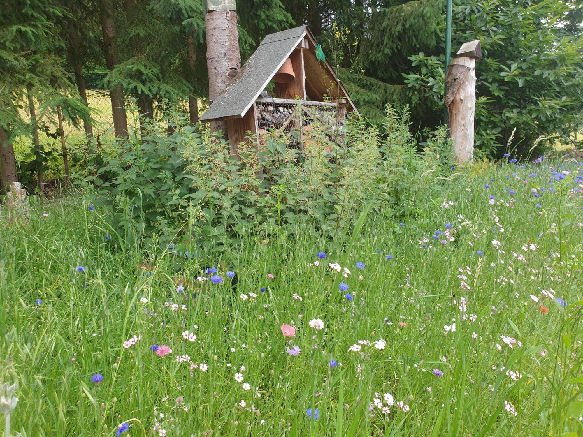 Le Wineck Villa Dambach Szoba fotó