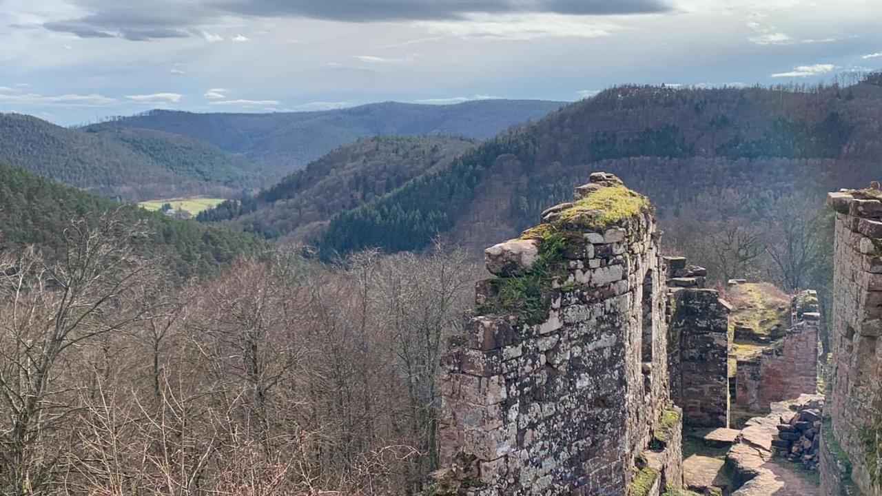 Le Wineck Villa Dambach Kültér fotó