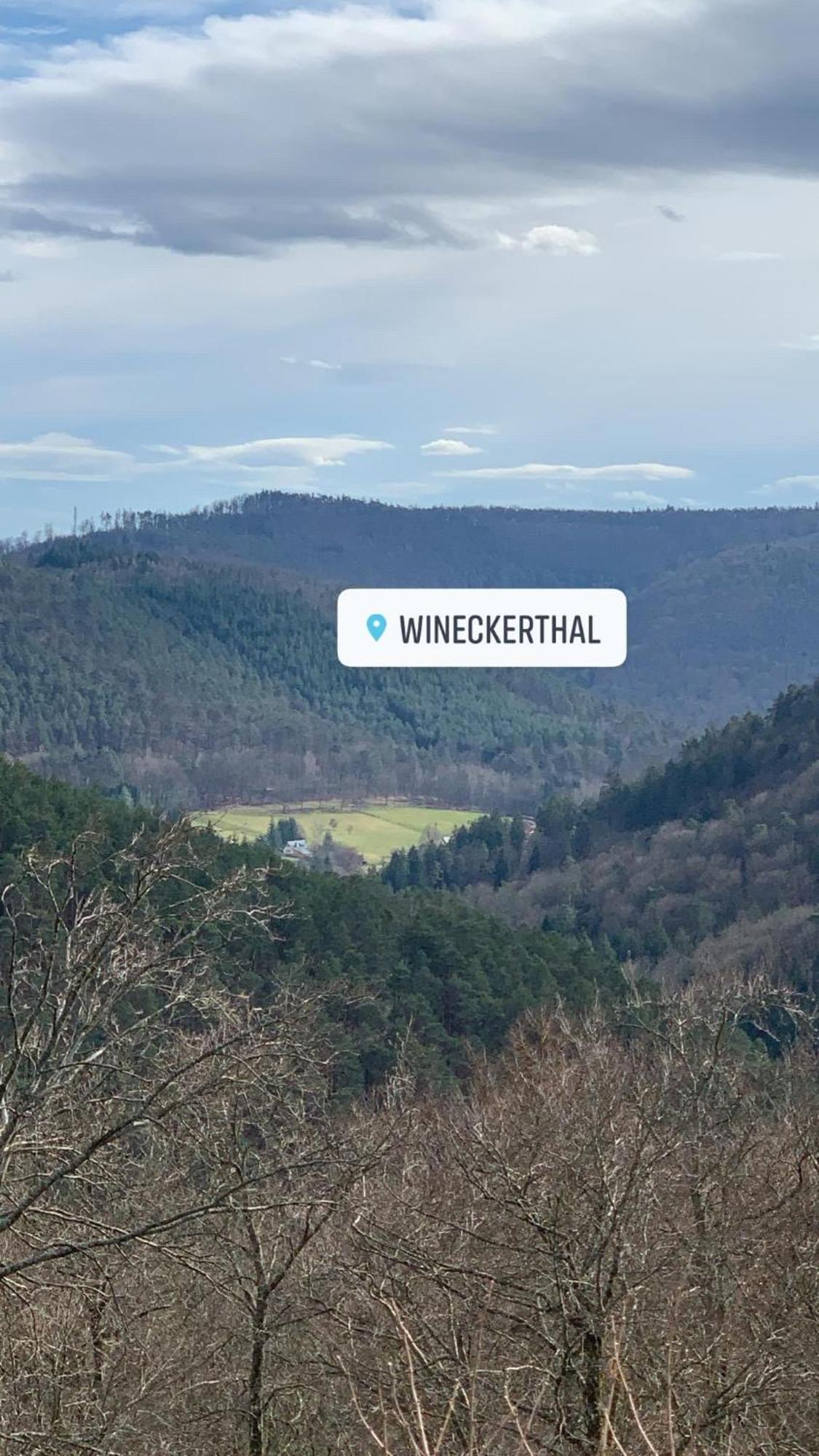 Le Wineck Villa Dambach Kültér fotó