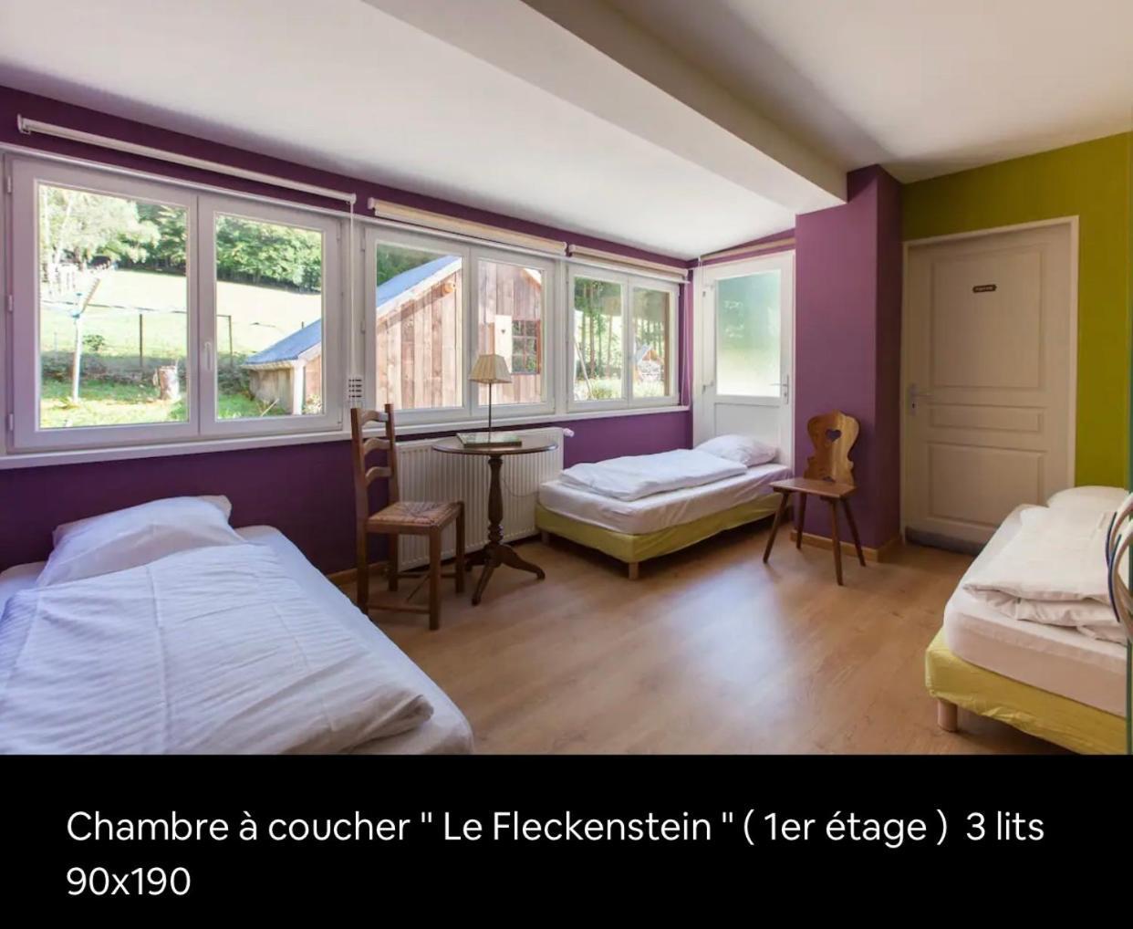 Le Wineck Villa Dambach Kültér fotó