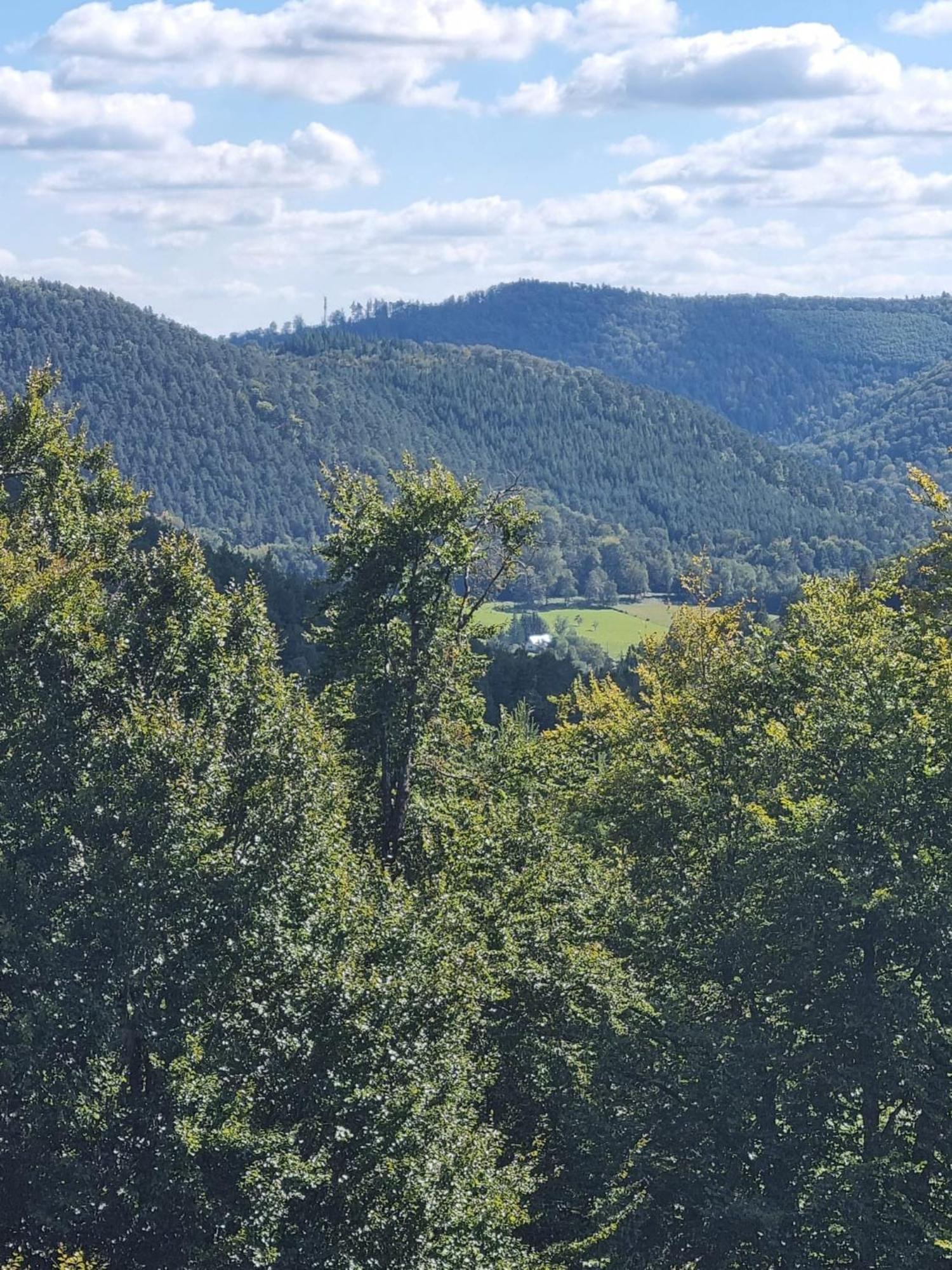 Le Wineck Villa Dambach Kültér fotó