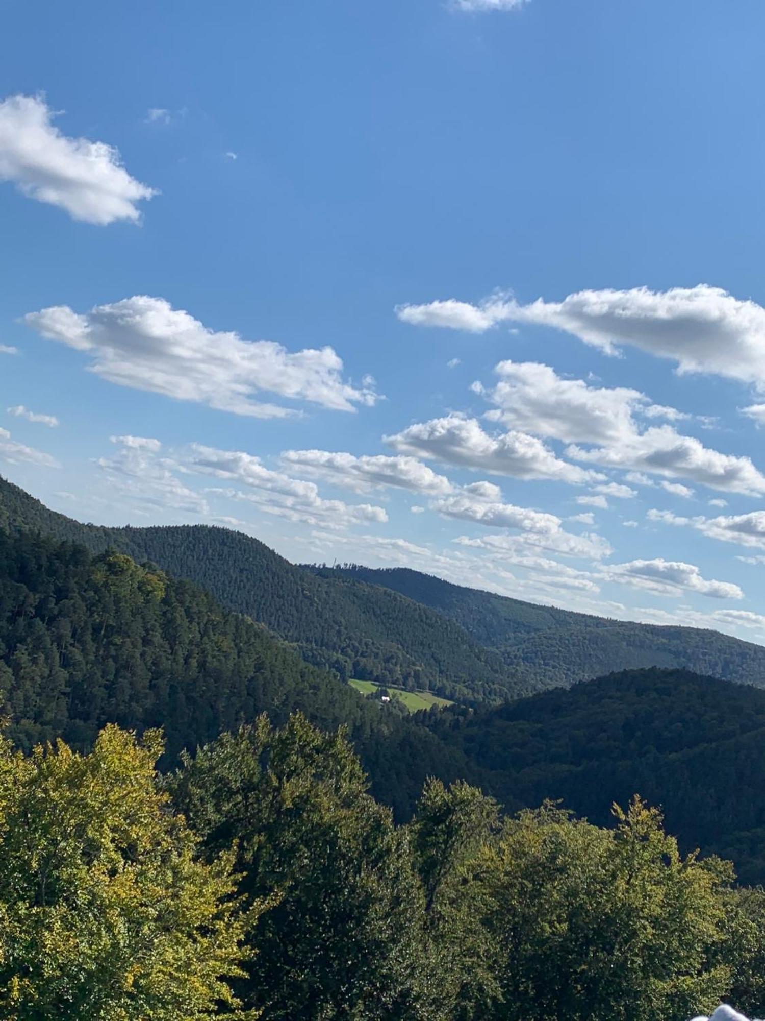 Le Wineck Villa Dambach Kültér fotó