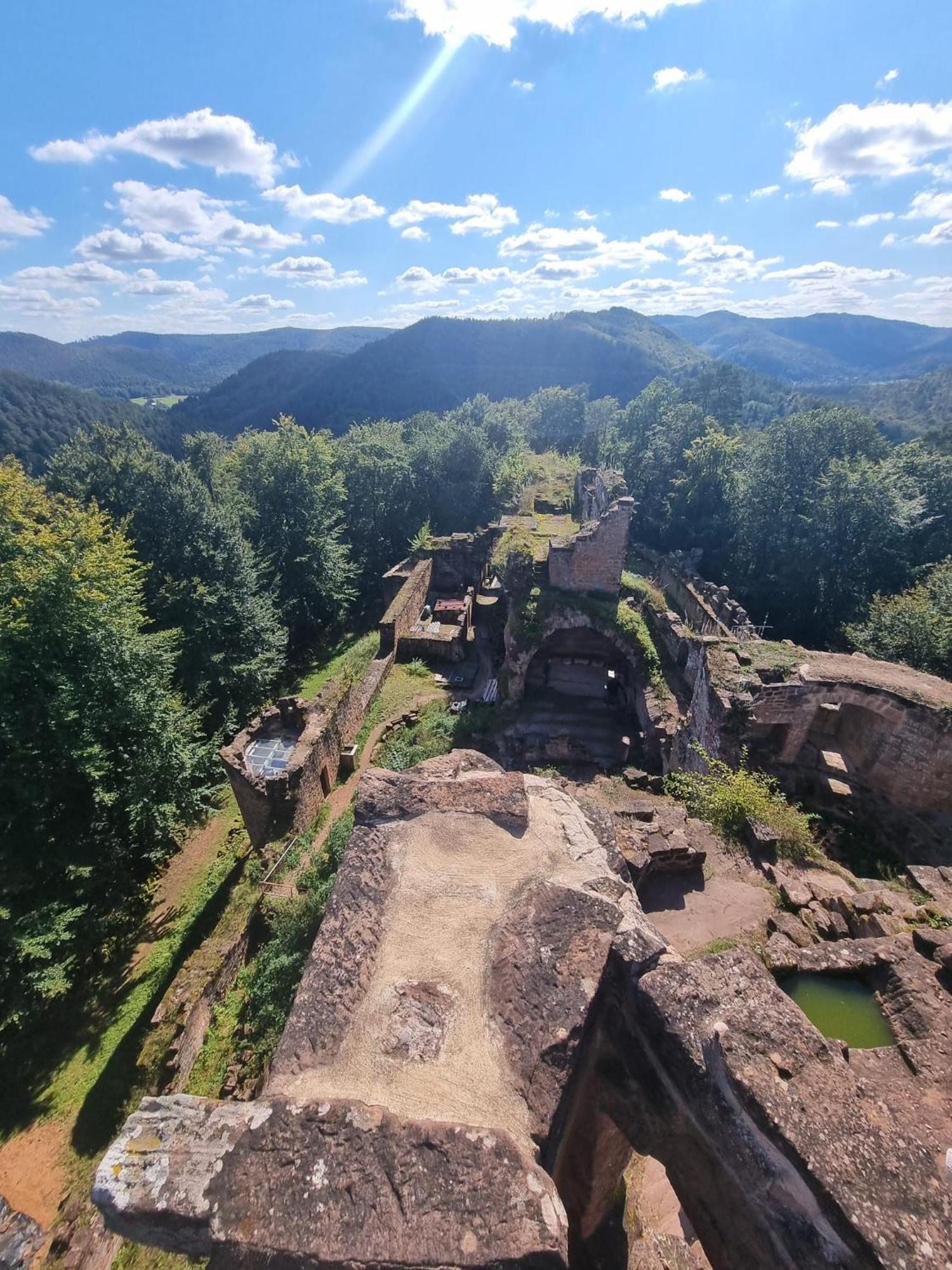 Le Wineck Villa Dambach Kültér fotó