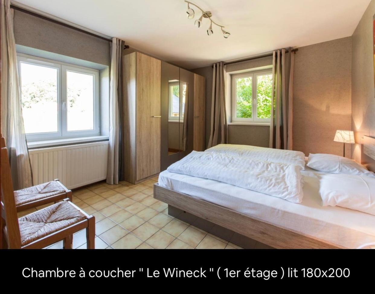 Le Wineck Villa Dambach Kültér fotó