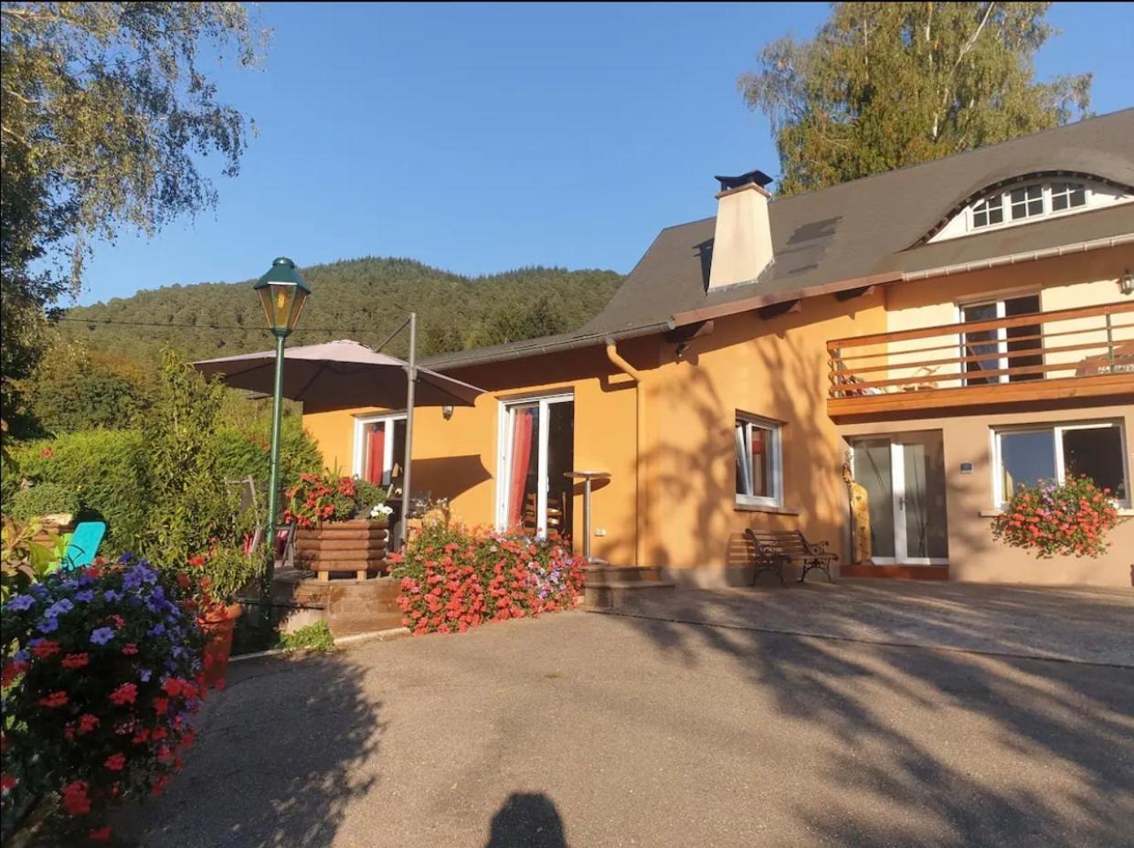 Le Wineck Villa Dambach Kültér fotó