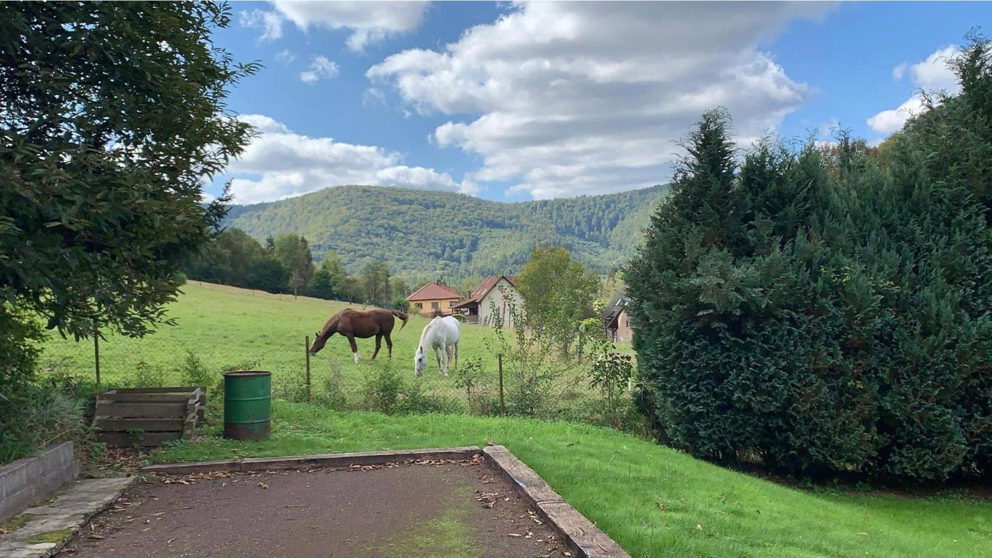 Le Wineck Villa Dambach Kültér fotó