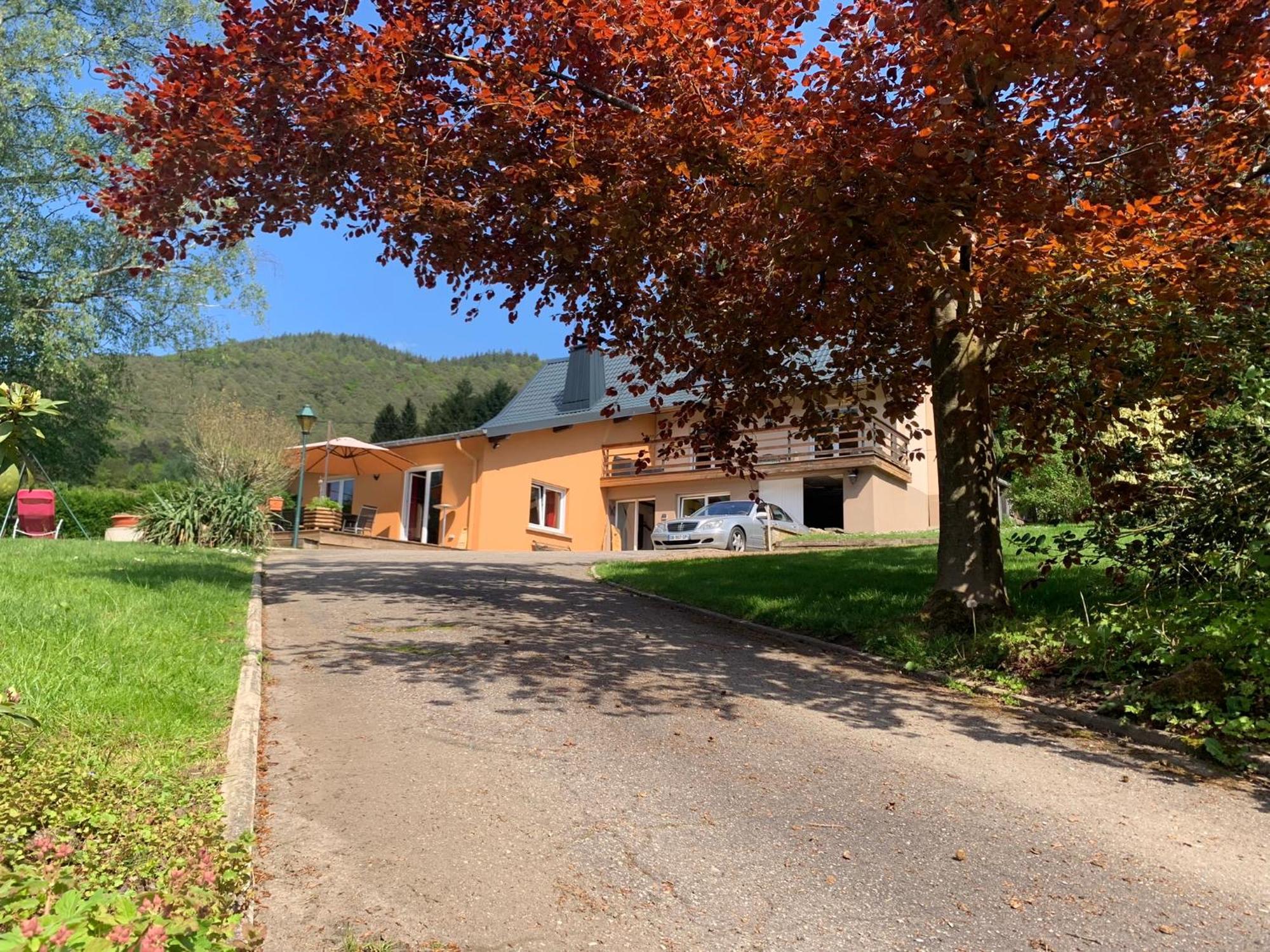 Le Wineck Villa Dambach Kültér fotó