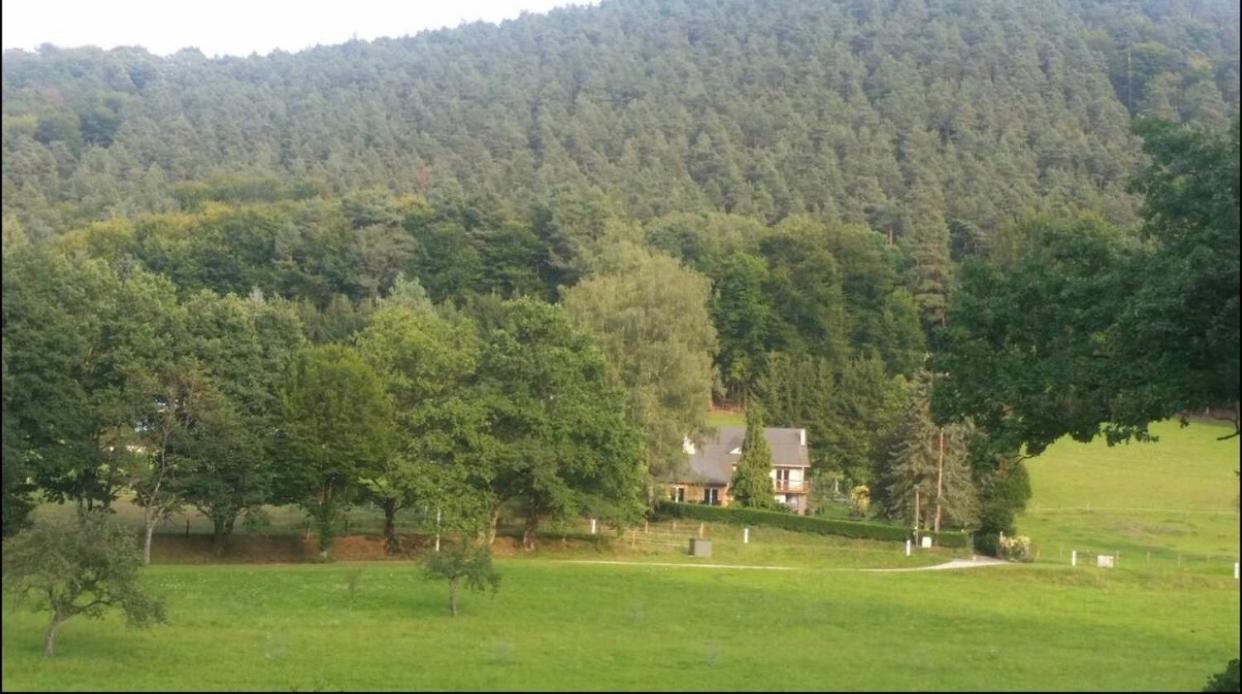 Le Wineck Villa Dambach Kültér fotó
