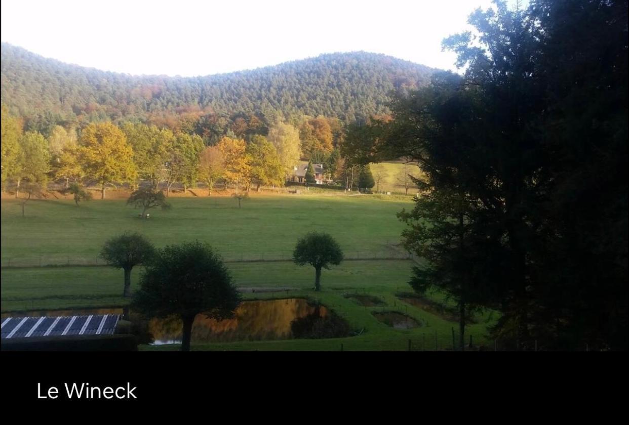 Le Wineck Villa Dambach Kültér fotó
