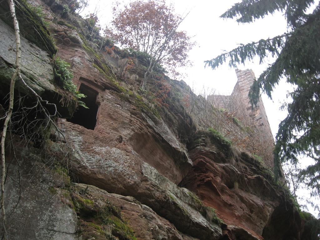 Le Wineck Villa Dambach Kültér fotó