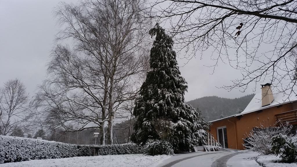 Le Wineck Villa Dambach Kültér fotó