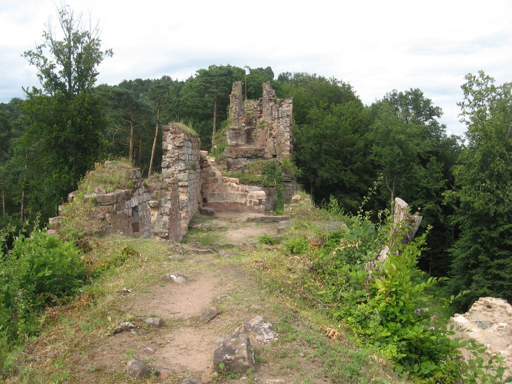 Le Wineck Villa Dambach Kültér fotó