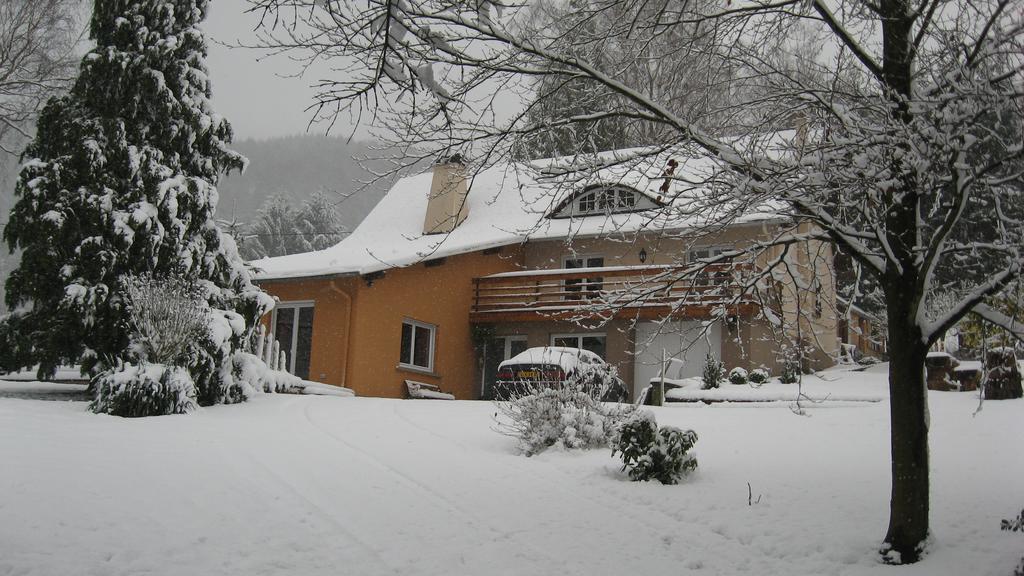Le Wineck Villa Dambach Kültér fotó