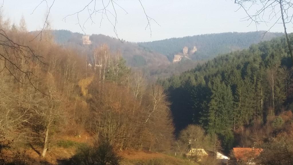 Le Wineck Villa Dambach Kültér fotó