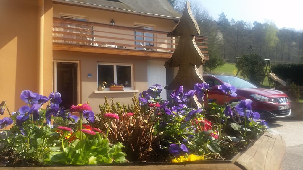 Le Wineck Villa Dambach Kültér fotó