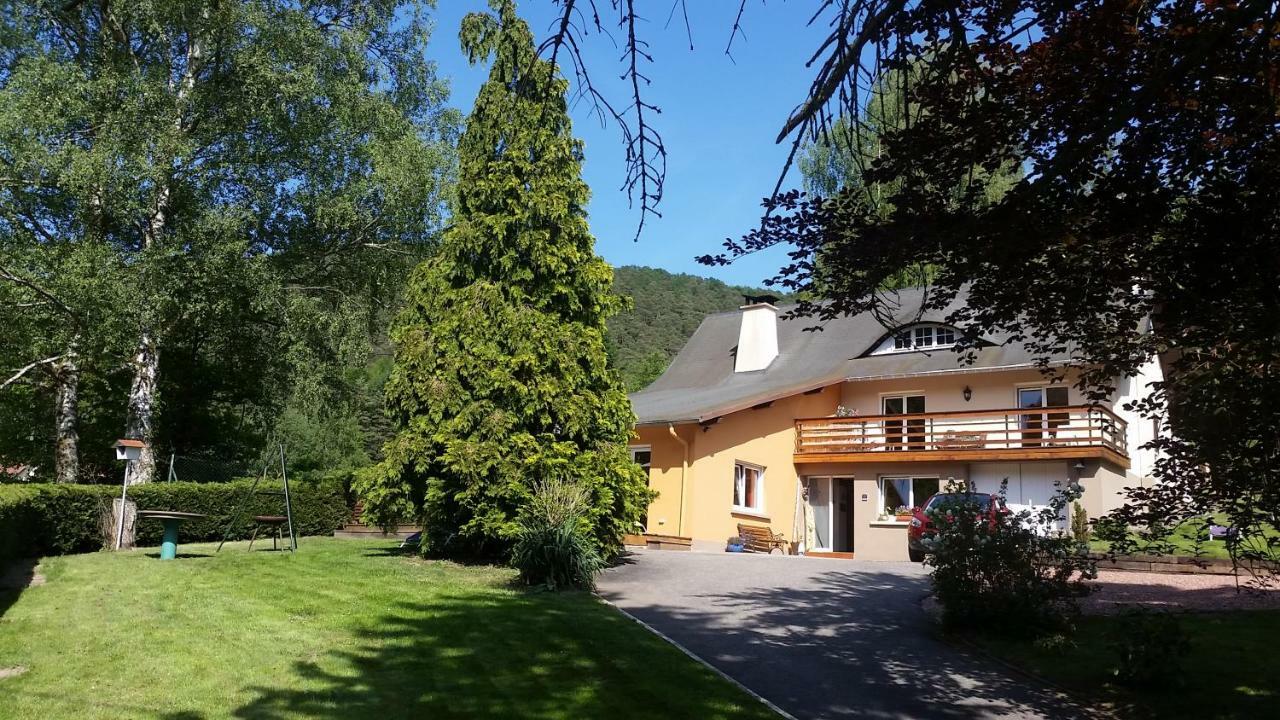 Le Wineck Villa Dambach Kültér fotó