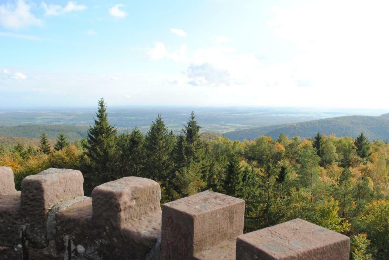 Le Wineck Villa Dambach Kültér fotó